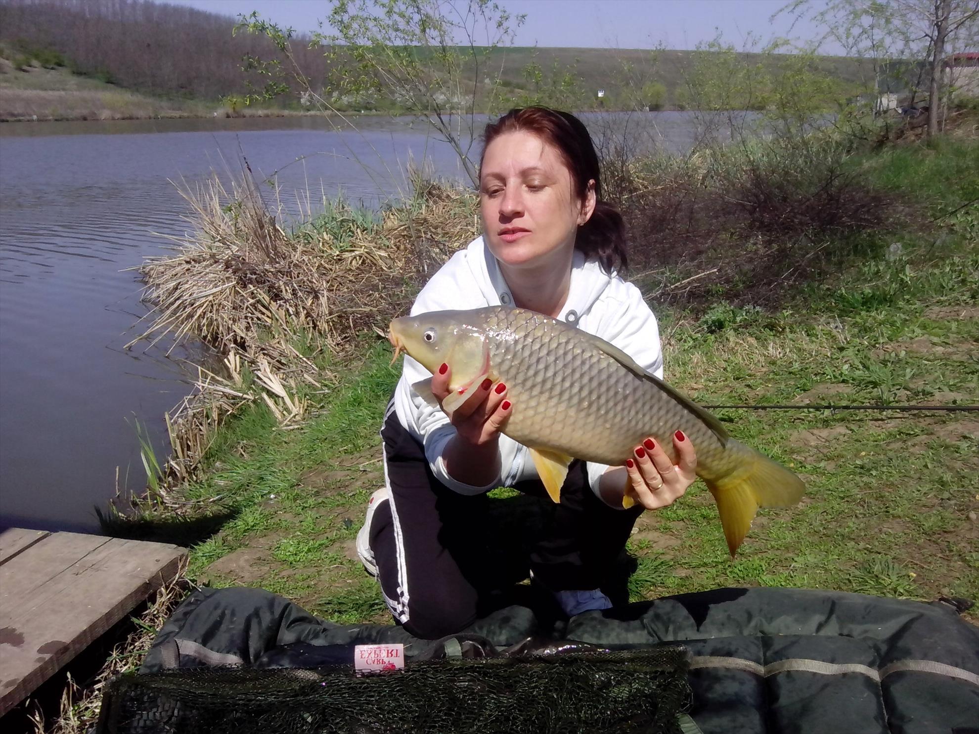 magura 9 - 953084ee7e8e61b772933fff35c3d315.jpg